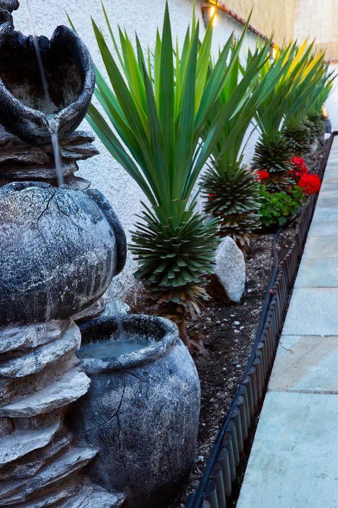 Hotel Pavlidis タソス エクステリア 写真